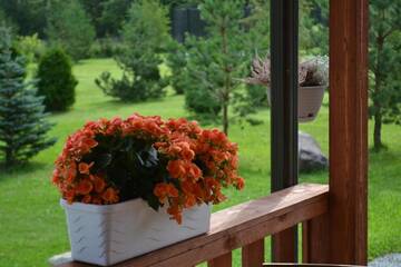 Фото номера Дом для отпуска Дома для отпуска Nõmme Holiday Home г. Nõmme 58