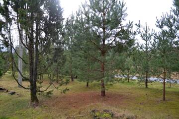Фото номера Дом для отпуска Дома для отпуска Nõmme Holiday Home г. Nõmme 29