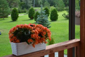 Фото номера Дом для отпуска Дома для отпуска Nõmme Holiday Home г. Nõmme 62